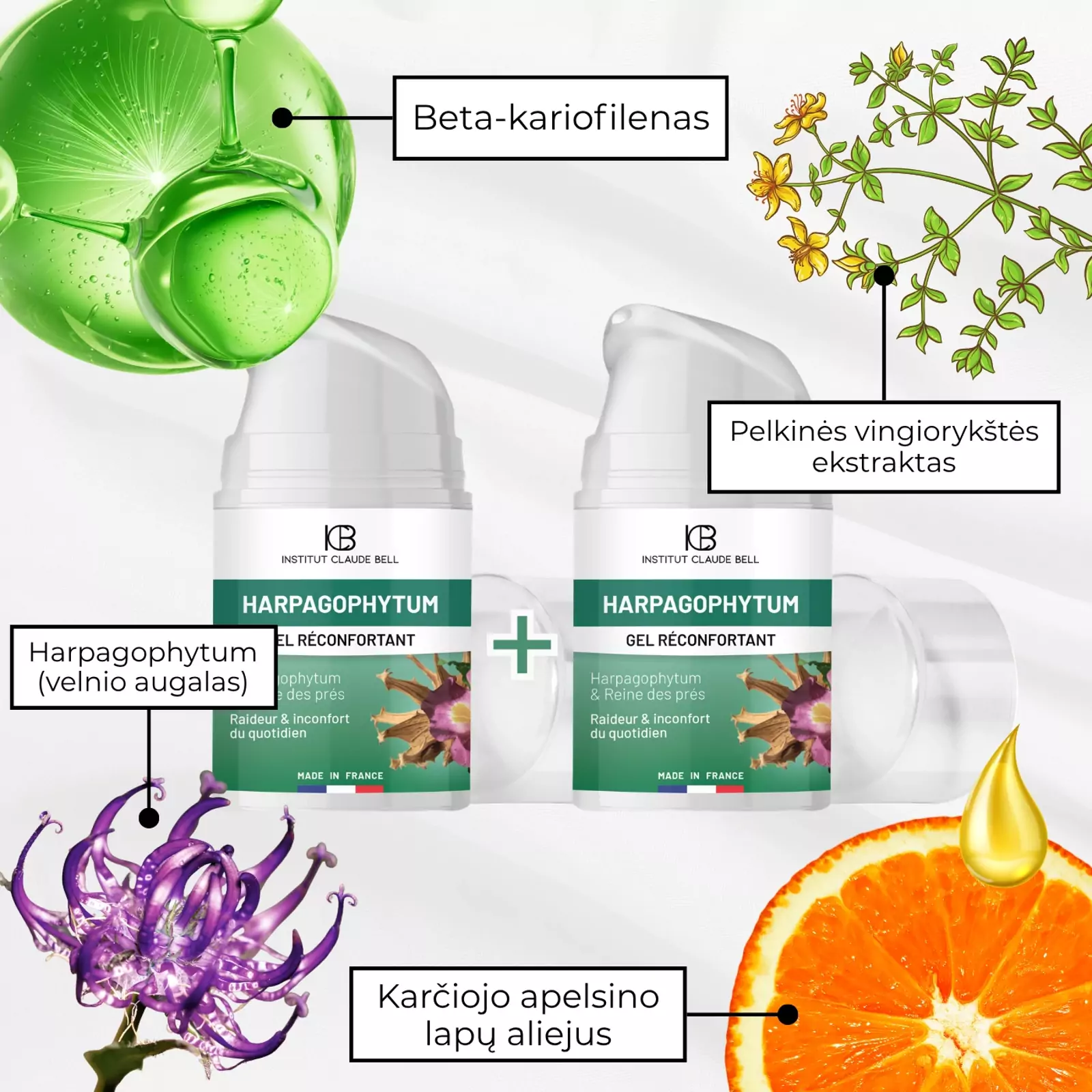 Raminantis gelis su Harpagophytum: sąnariams, lėtiniui uždegimui, osteoartritui, nugaros skausmams, raumenų įtampai 1+1 Raminantis gelis su Harpagophytum: sąnariams, lėtiniui uždegimui, osteoartritui, nugaros skausmams, raumenų įtampai 1+1